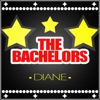 The Bachelors - I Wouldnt Trade You for the World