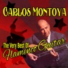 The Very Best of Flamenco Guitar, 2013