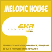 Melodic House Bass2 128 (Tool 5) artwork