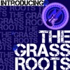 Introducing the Grass Roots (Rerecorded)