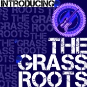 Introducing the Grass Roots