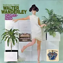 Organ-Ized - Walter Wanderley Organ-Ized - Walter Wanderley