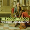 The Proud Bassoon