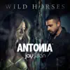 Stream & download Wild Horses (feat. Jay Sean) [Remixes] - EP