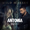 Wild Horses (feat. Jay Sean) [Remixes] - EP