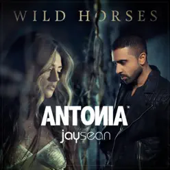 Wild Horses (feat. Jay Sean) [Remixes] - EP - Jay Sean