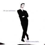 Stephen Duffy - icing on the cake