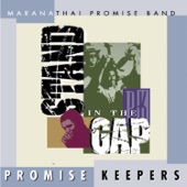 Promise Keepers - Stand In the Gap artwork
