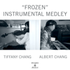 Frozen Instrumental Medley - Albert Chang