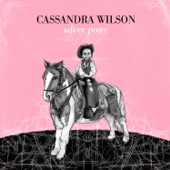 Cassandra Wilson - Forty Days and Forty Nights