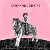 Cassandra Wilson - Forty Days And Forty Nights