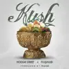Kush (feat. Rashad) - Single album lyrics, reviews, download