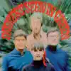 Seekers Seen In Green (Mono & Stereo) [1999 Remaster] album lyrics, reviews, download