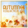 Autumnes Collection 2015