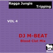 Ragga Jungle (Blood Clat Mix) artwork