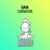 Carnation - Single