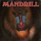 Livin' It Up - Mandrill lyrics