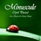 Minuscule (Leo Baroso Remix) - Cyril Picard lyrics
