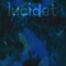 How to Play Piano - Lucidet lyrics