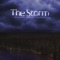 The Storm (feat. Spencer Battiest) - Doc lyrics