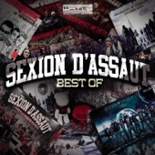 Best of Sexion d'Assaut artwork