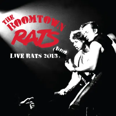 Live Rats 2013 at the London Roundhouse - Boomtown Rats