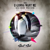 U Gonna Want Me (Dayne S Remix) artwork