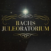 Bachs Juleoratorium artwork