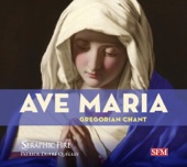 Ave maris stella (Iberian plainchant) [arr. P.D. Quigley for choir] artwork