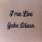 Coming Home - Gabe Dixon lyrics