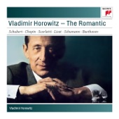 Vladimir Horowitz - The Romantic artwork