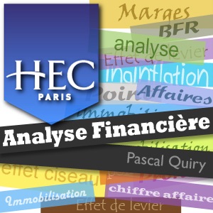 Analyse Financière - Pascal Quiry - HEC Paris (audio) cover