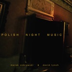 David Lynch & Marek Zebrowski - Night (Interiors)