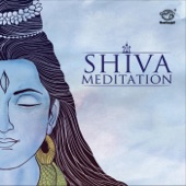 Shiva Meditation artwork
