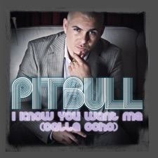 I Know You Want Me (Calle Ocho) artwork