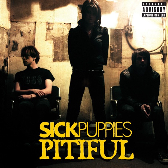 Cover artwork for Pitiful (Radio Edit)