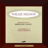 Willie Nelson - Ain't Misbehavin'