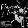 Flamenco y Tronío