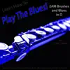 Learn How to Play the Blues! 2AM Brushes and Blues in D (For Flute Players) - EP album lyrics, reviews, download