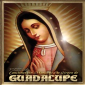 Canciones Con Mariachi a La Virgen de Guadalupe artwork