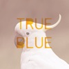 True Blue - Single