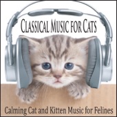 Classical Music for Cats: Calming Cat and Kitten Music for Felines artwork