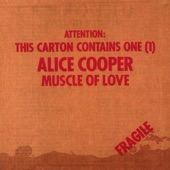 Alice Cooper - Woman Machine