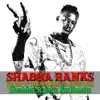 Stream & download The Best of Shashamane Reggae Dubplates (Shabba Ranks Anthems) - EP