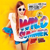 Wild Summer 2014 artwork