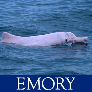 Chinese Beyond Emory - Intermediate Mid-High cover