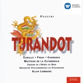 Turandot (1994 Remastered Version), Act II, Scene 2: Gelo che ti dà foco (Turandot, Calaf, Sages, Crowd) artwork