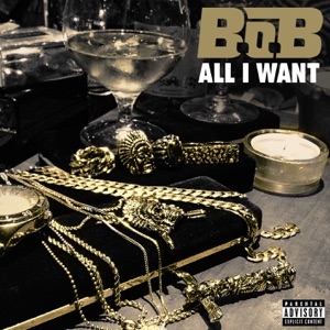 All I Want - Single