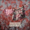 Funktasticos Genitales - Corte Piston