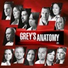 Greys Anatomy - I Will Survive